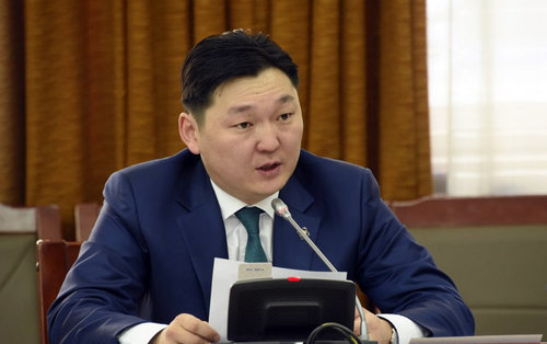 Г.Тэмүүлэн:Улсын хилээр гарч буй ургамал олон зуун сая доллараар хэмжигдэх бололцоотой